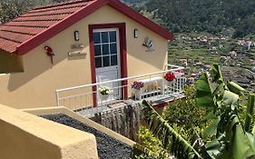 Tropical House
