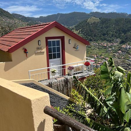 Villa Tropical House Ribeira Brava Esterno foto