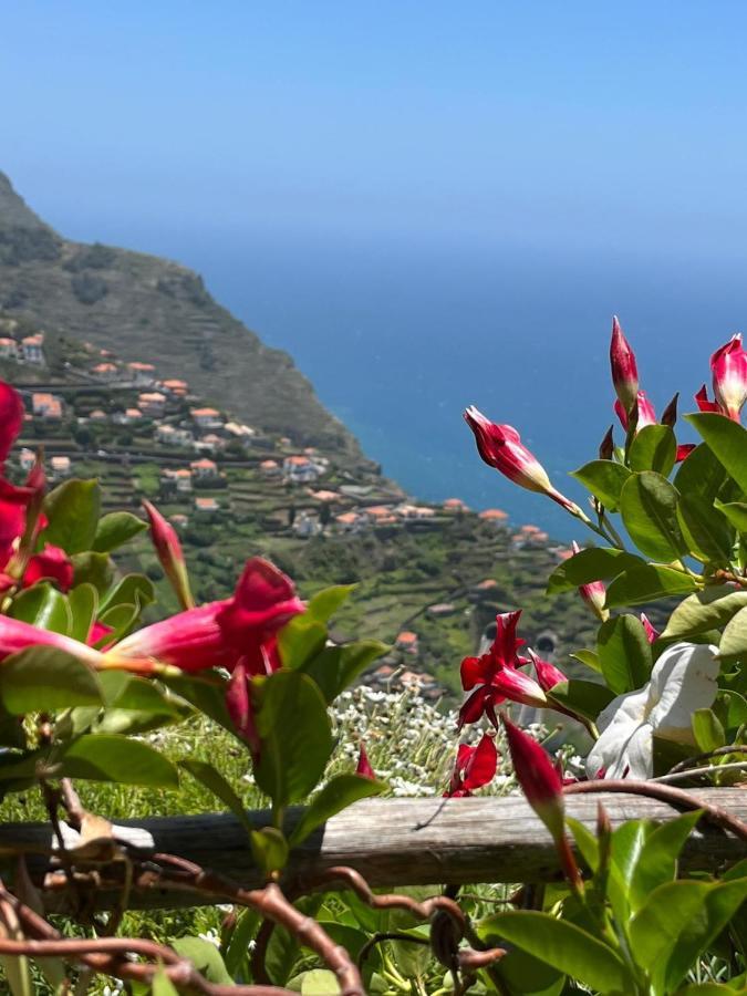 Villa Tropical House Ribeira Brava Esterno foto