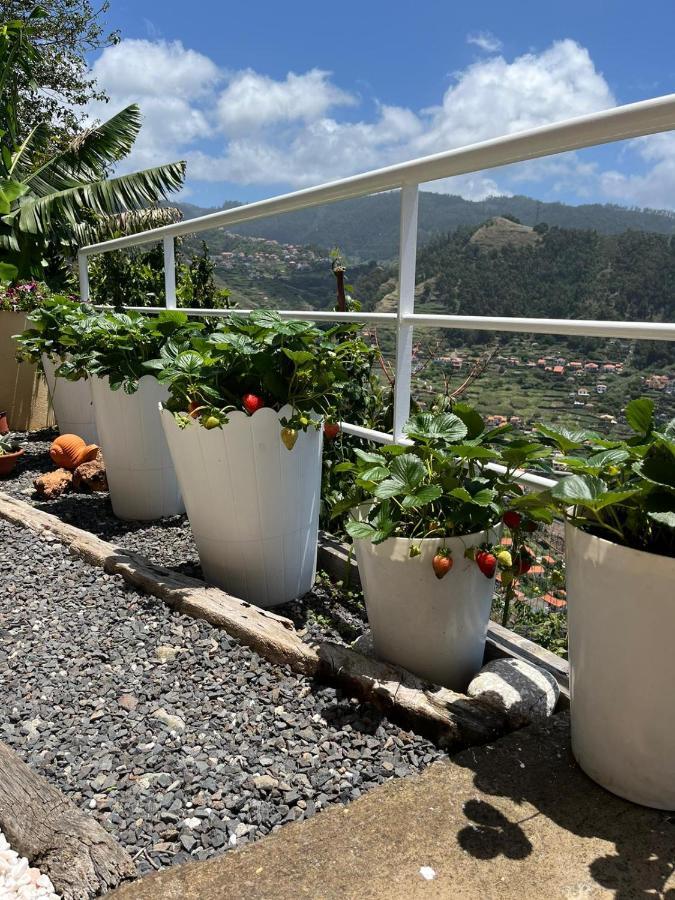 Villa Tropical House Ribeira Brava Esterno foto