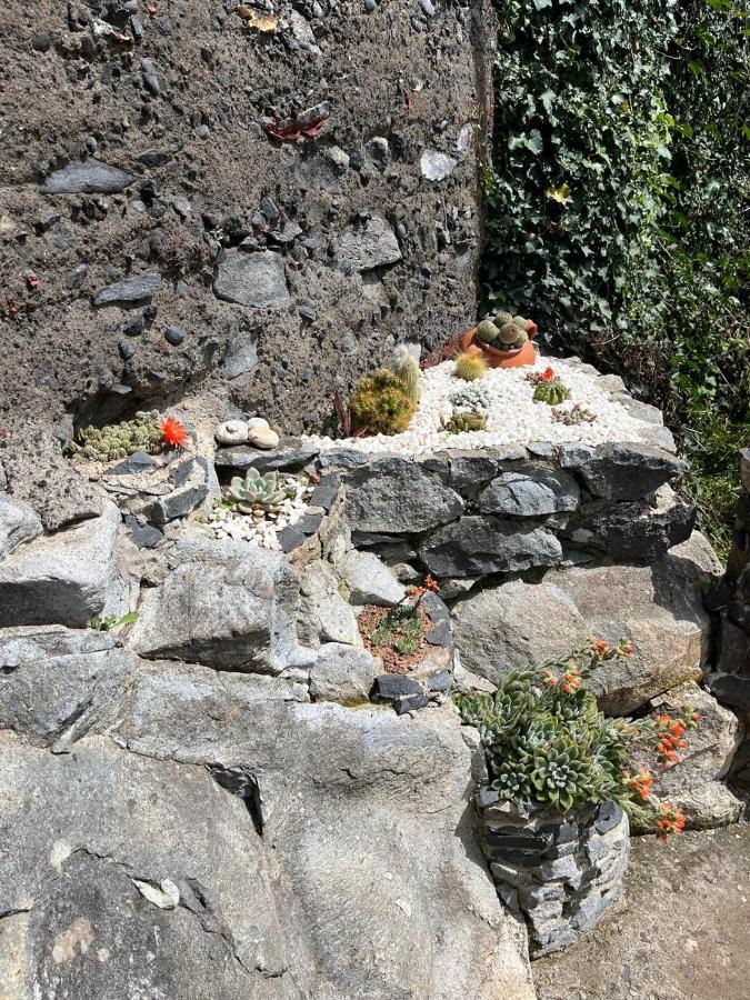 Villa Tropical House Ribeira Brava Esterno foto