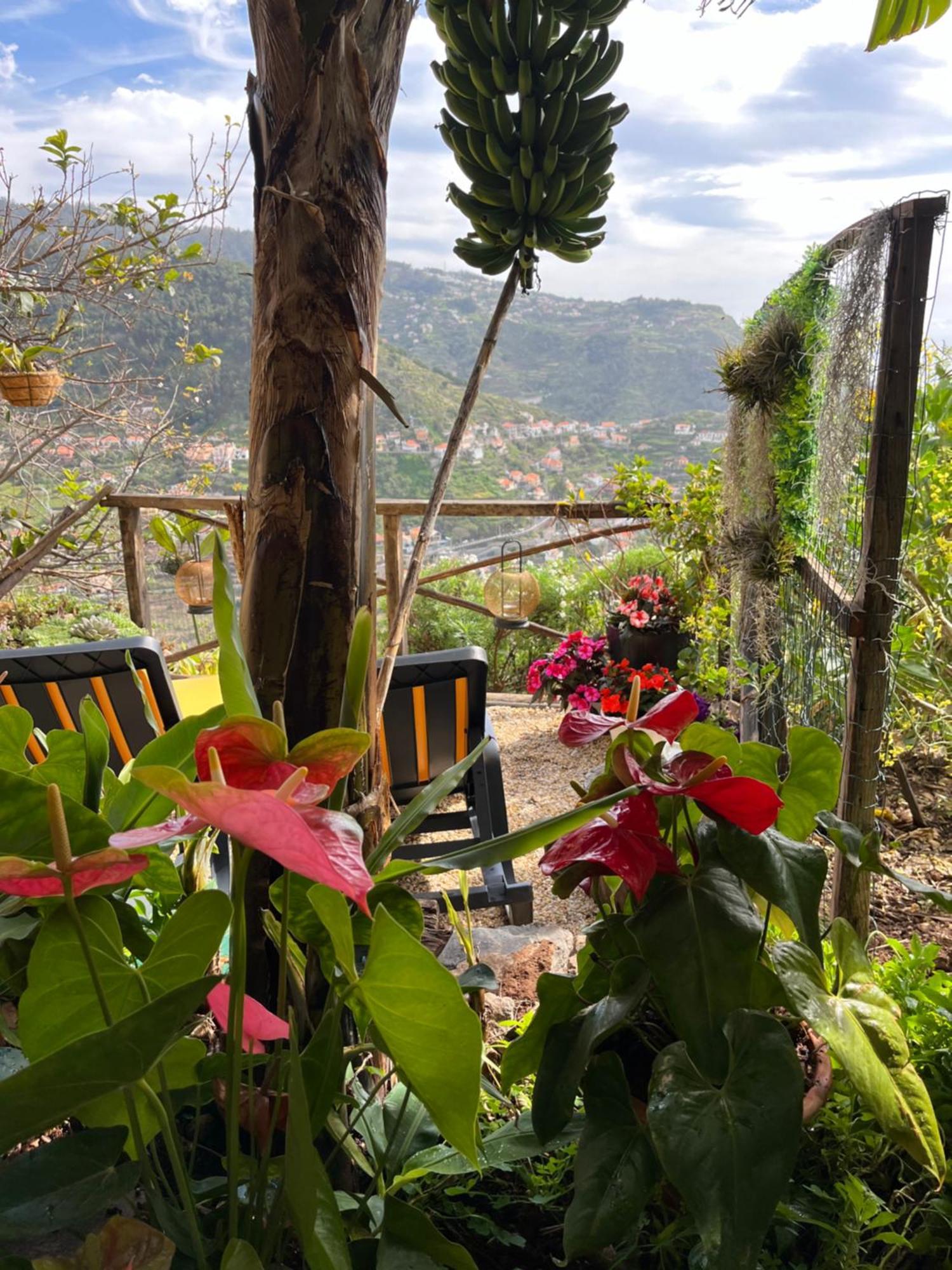 Villa Tropical House Ribeira Brava Esterno foto