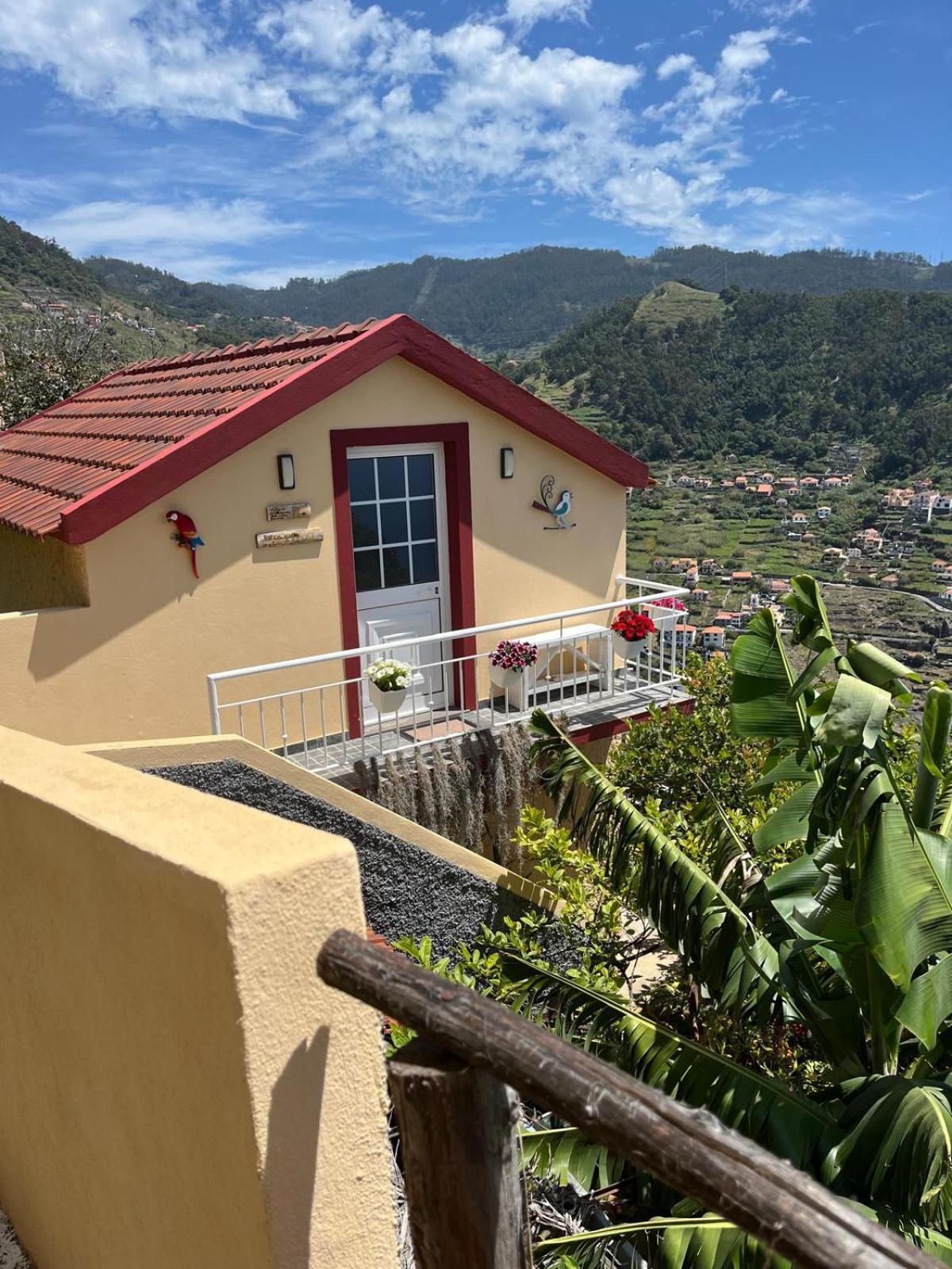 Villa Tropical House Ribeira Brava Esterno foto