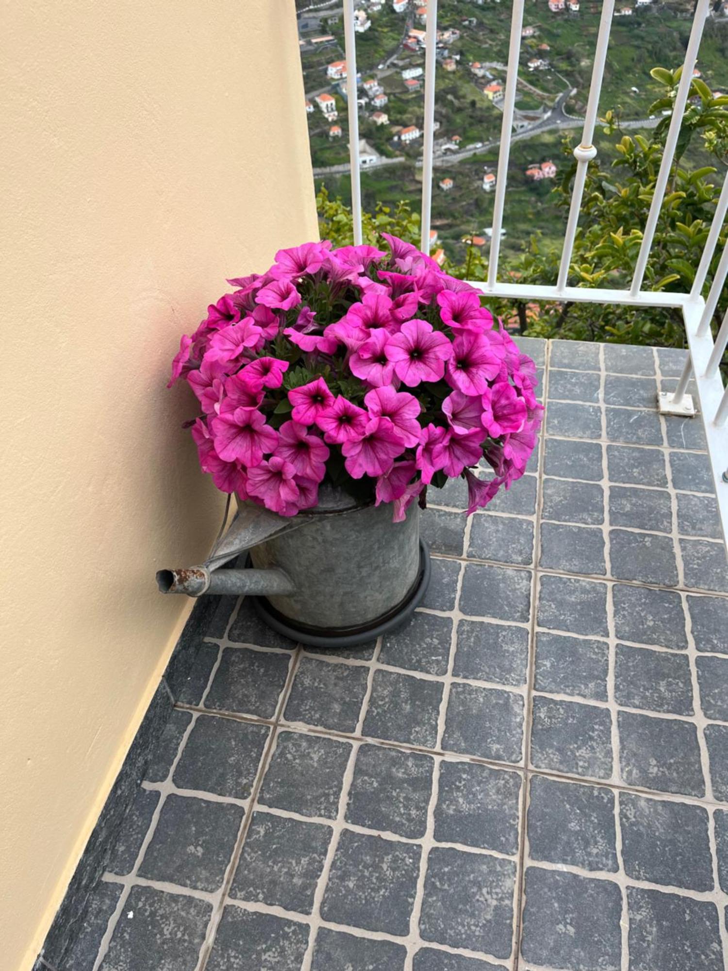 Villa Tropical House Ribeira Brava Esterno foto